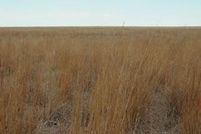 Property in Kiowa County, Colorado