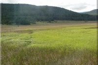 Property in San Miguel County, New Mexico