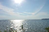 Property in San Augustine County, Texas