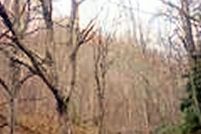 Property in Tazewell County, Virginia