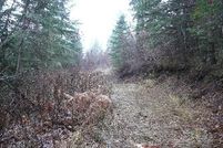 Property in Benewah County, Idaho