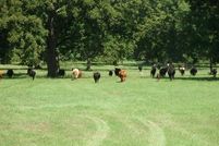 Property in Bryan County, Oklahoma