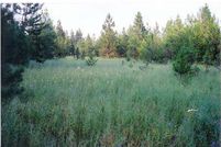 Property in Kootenai County, Idaho