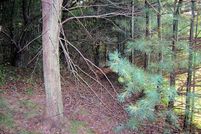 Property in Bland County, Virginia