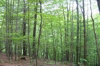 Property in Columbia County, New York