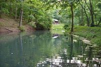 Property in Christian County, Missouri