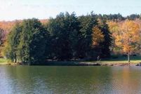 Property in Schoharie County, New York