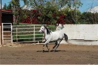 Property in Los Angeles County, California