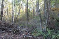 Property in Lumpkin County, Georgia