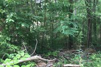 Property in Louisa County, Virginia