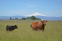 Property in Jefferson County, Oregon