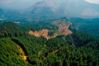 Property in Lane County, Oregon