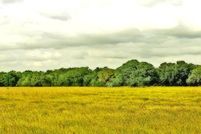 Property in Jackson County, Texas