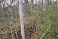 Property in Gaston County, North Carolina