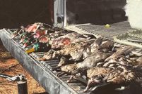 Property in Newton County, Mississippi