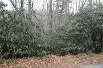 Property in Avery County, North Carolina