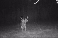 Property in Yazoo County, Mississippi