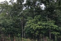 Property in Houston County, Alabama