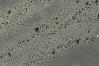 Property in La Paz County, Arizona