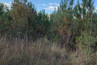 Property in Geneva County, Alabama