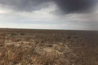 Property in Sherman County, Texas