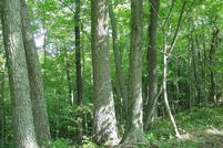 Property in Putnam County, West Virginia