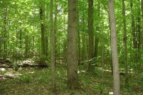 Property in Chautauqua County, New York