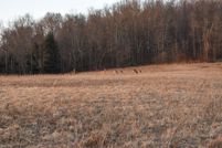 Property in Susquehanna County, Pennsylvania