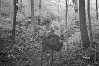 Property in Jersey County, Illinois