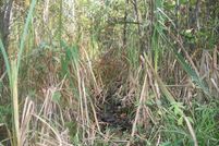 Property in Shawano County, Wisconsin