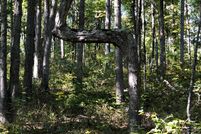 Property in Stone County, Arkansas