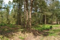 Property in Allen Parish, Louisiana