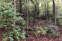 Property in Henderson County, North Carolina