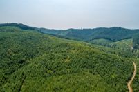 Property in Lane County, Oregon