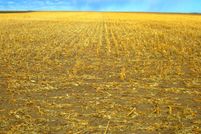 Property in Washington County, Colorado