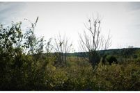 Property in Geneva County, Alabama