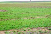 Property in Washita County, Oklahoma