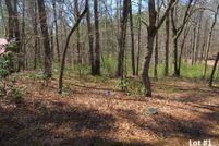 Property in Patrick County, Virginia