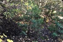 Property in Josephine County, Oregon