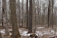 Property in Chautauqua County, New York