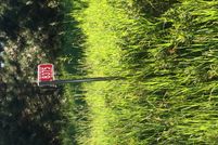 Property in Oneida County, Wisconsin