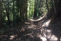 Property in Santa Cruz County, California