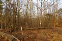 Property in Orange County, Virginia