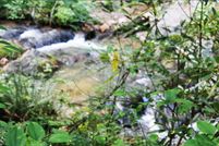 Property in Carroll County, Virginia