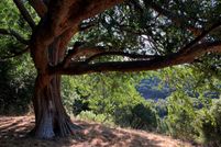 Property in San Mateo County, California