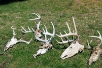 Property in La Crosse County, Wisconsin