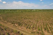 Property in Jones County, North Carolina