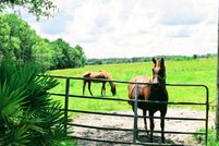 Property in Putnam County, Florida