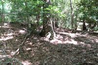 Property in Alleghany County, North Carolina