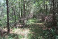 Property in Lamar County, Mississippi